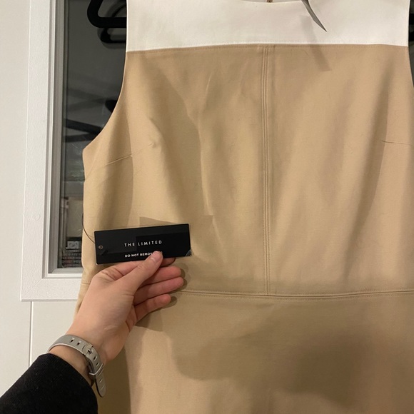 The limited business professional dress - Picture 5 of 5